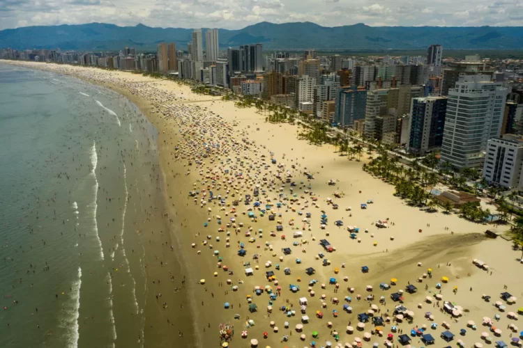 Imagem atual: Dedetizadora na Praia Grande