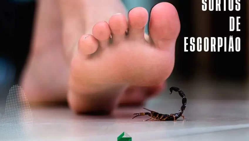 Dedetização de Escorpiões