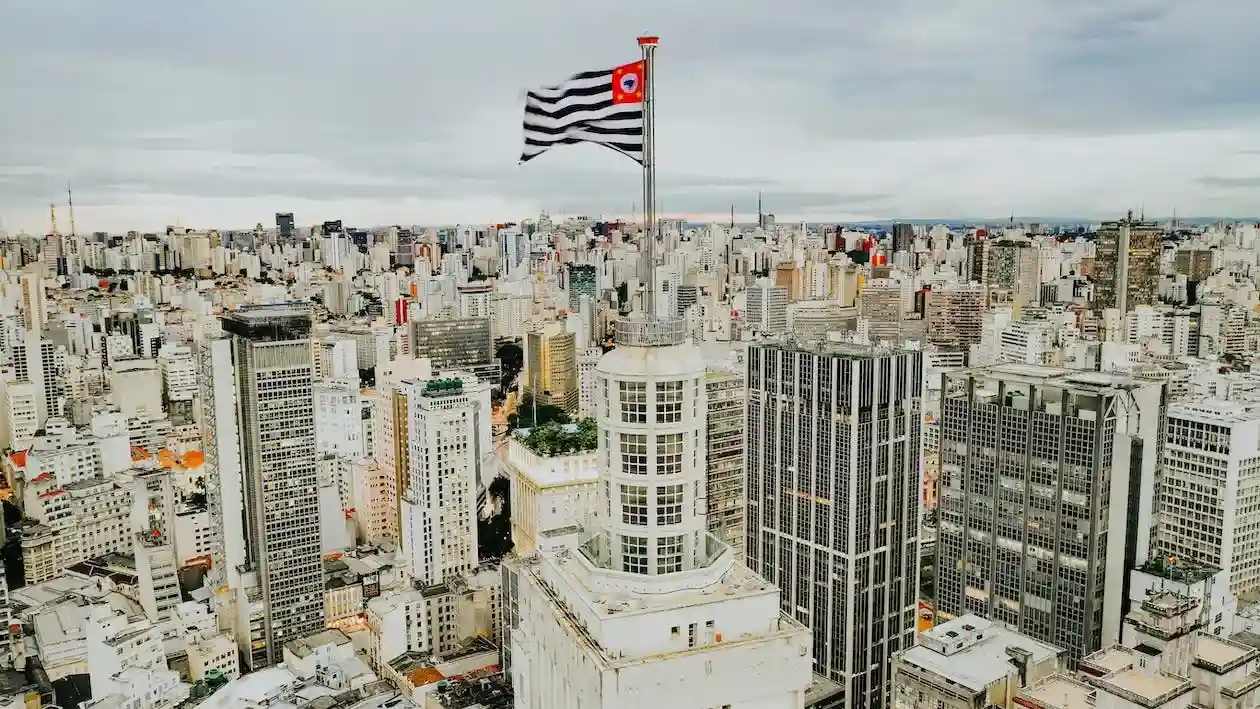 Dedetizadora 24 Hora em São Paulo