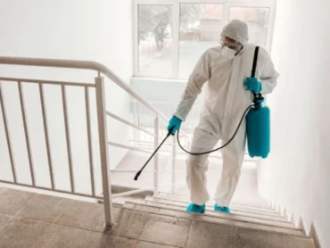 O que Fazer Depois da Dedetização Curitiba