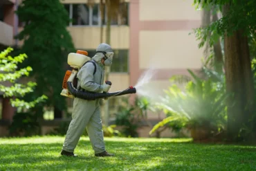 Descupinização em condomínios