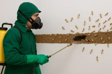 Dedetização em São Paulo Zona Oeste com Atendimento Emergencial: A Solução Eficiente para Seu Problema
