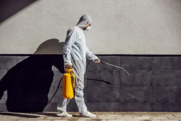Por que escolher uma empresa de dedetização em São Paulo Zona Sul