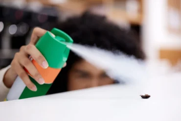 Por que sprays de supermercado pioram infestações de baratas em 70% dos casos