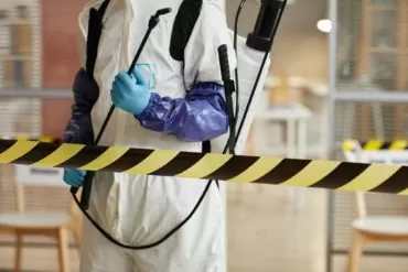 disinfection services