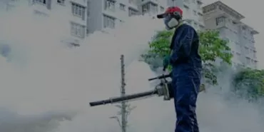 www.desentupidorapowertec.com .br 0f5ee52c5db2d5d7c753865d857f4c78 como acabar com infestacao de dengue dedetizacao contra dengue em sao paulo.