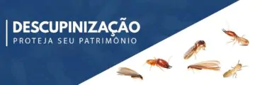 Serviços de Dedetização