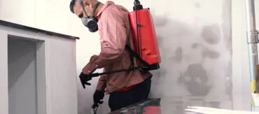 Serviços de Dedetização