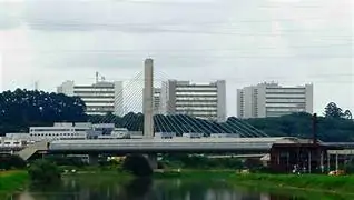 dedetizadora em santo amaro