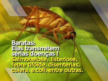 tecprag site pragas chamada baratas1