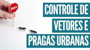 Controle de pragas urbanas, e os Cuidados preventivos no Outono: