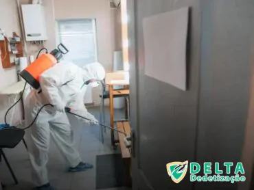 Como Funciona o Processo de Dedetização em Veículos de Carga