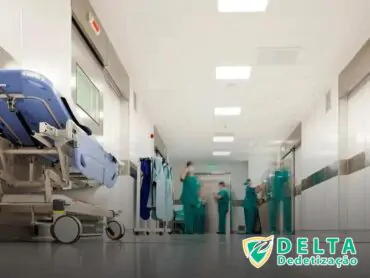 Dicas Essenciais para Escolher Serviços de Dedetização em Bauru com Confiança