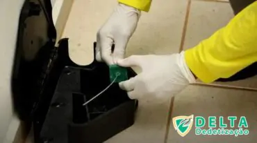 Encontrando a Empresa Certa para Dedetizar seu Condomínio