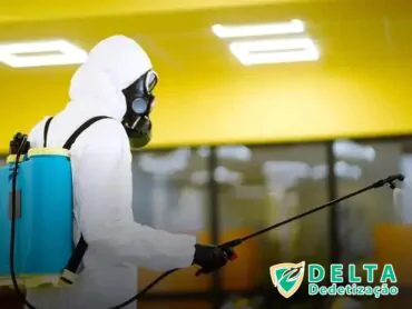 Estratégias para Limpar o Ambiente e Prevenir a Reinfestação de Pulgas
