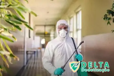 Identificando e Removendo os Esconderijos dos Escorpiões