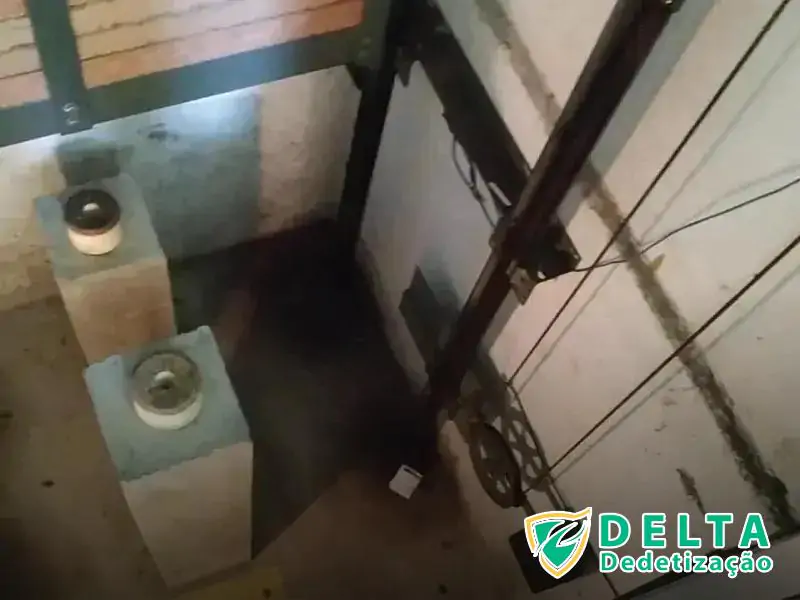 Melhores Práticas para Contratar um Serviço de Controle de Pragas