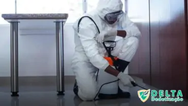 Métodos Eficazes para Eliminar Pulgas do Seu Cachorro