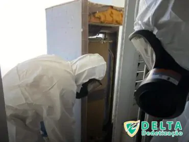 Métodos Eficientes de Dedetização de Ratos