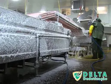 Os benefícios de um serviço de dedetização eficiente na Zona Norte