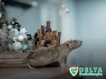 Os Desafios da Dedetização em Condomínios