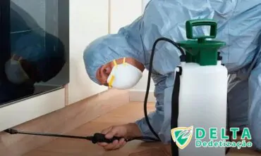 Prevenção e Cuidados Pós-Tratamento Contra Pulgas