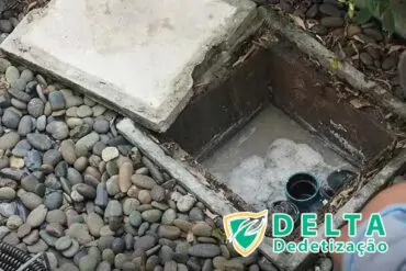 Prevenindo a Reincidência de Percevejos em Sua Casa