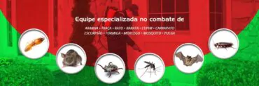 Serviços Oferecidos pela Delta Dedetização