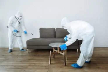 Como Preparar a Casa Para a Dedetização
