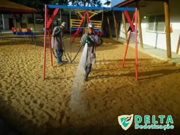 Benefícios de Contratar uma Dedetizadora Profissional no Anhanguabau