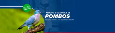 Quando Contratar um Profissional de Controle de Pombos?