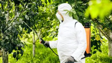 Empresa: Como Fazer Dedetização para Carrapatos?