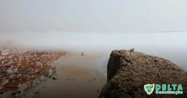 Como funcionam as dedetizadoras em Carapicuíba