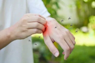 Controle de Mosquitos
