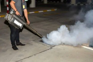 Serviços de Controle de Mosquitos: Como Podemos Combater o Mosquit