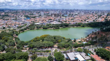 Dedetizadora em Campinas