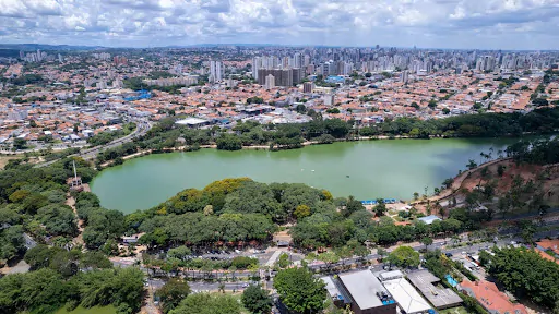 Dedetizadora em Campinas
