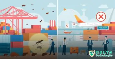 Quais pragas são comuns em Portos e Aeroportos?