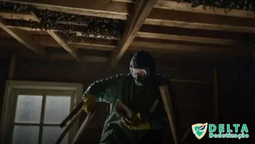 Sinais de Presença de Morcegos em Sua Casa