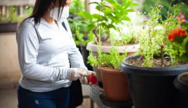 Cuide de Bromelias e Plantas que Acumulam Agua