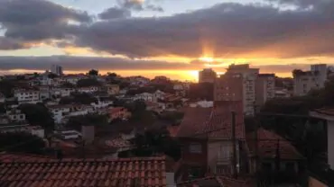 Empresa de Descupinização na Cachoeirinha, SP