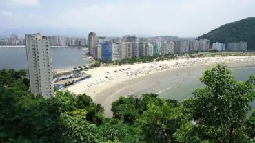 Dedetizadora em São Vicente