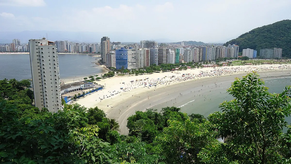 Dedetizadora em São Vicente