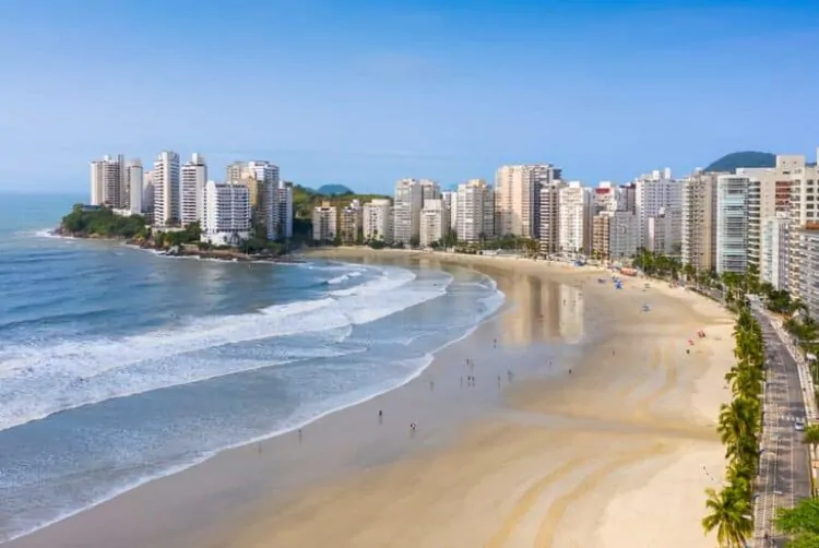 Dedetização de Cupins no Litoral de São Paulo