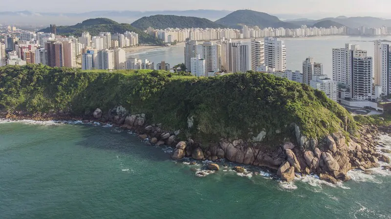 Dedetizadora de cupins em Guarujá
