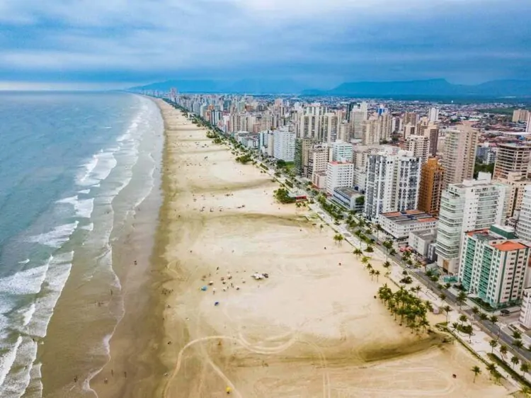 Dedetizadora em Boqueirão