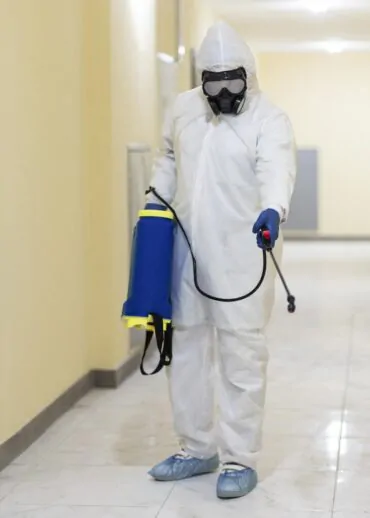 Sinais de Infestação de Cupim no Guarujá