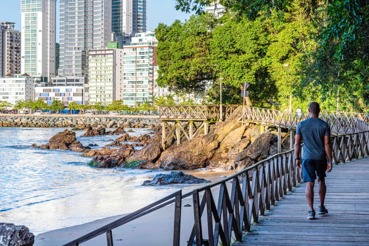 Dedetizadora na Barra Norte em Balneário Camboriú