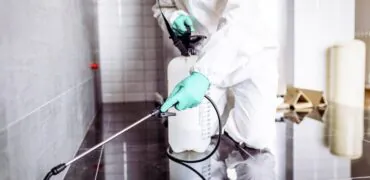 O que você não sabia sobre o Controle de Pragas doméstico